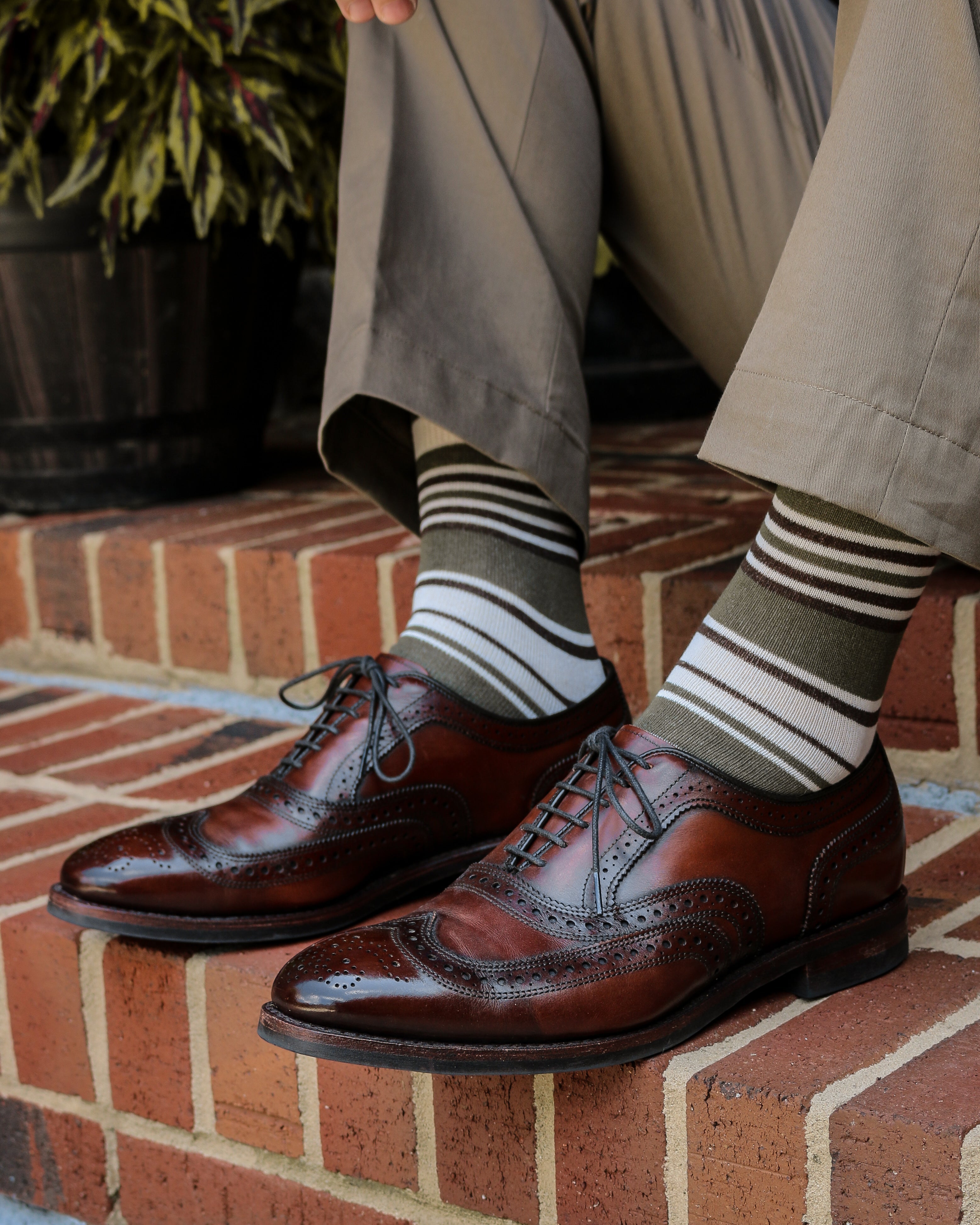 When to Replace Your Socks - Signs Your Cotton Dress Socks Are Due for Retirement