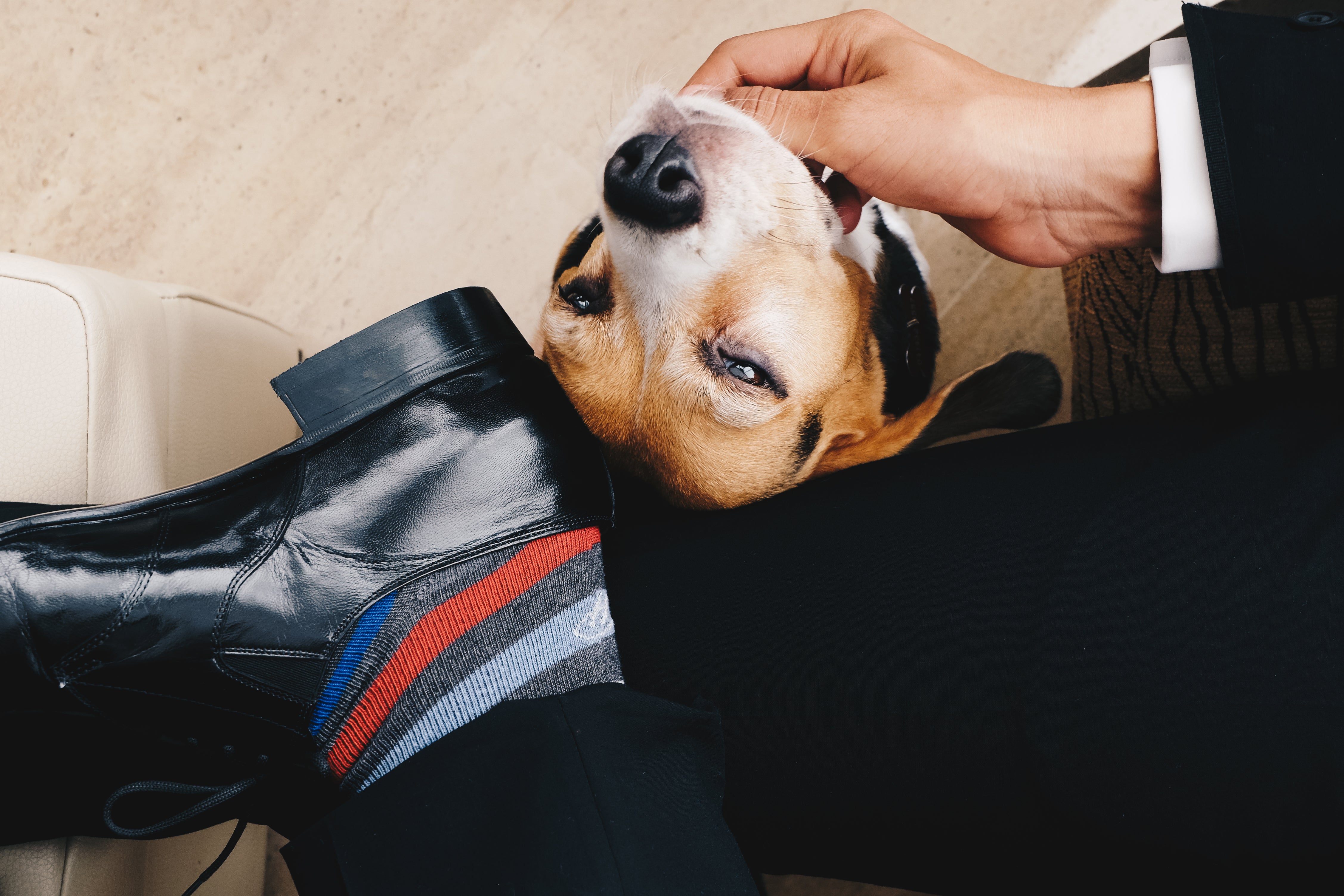 dark grey over the calf dress socks with light blue red and blue stripe pattern, black dress shoes and black dress pants