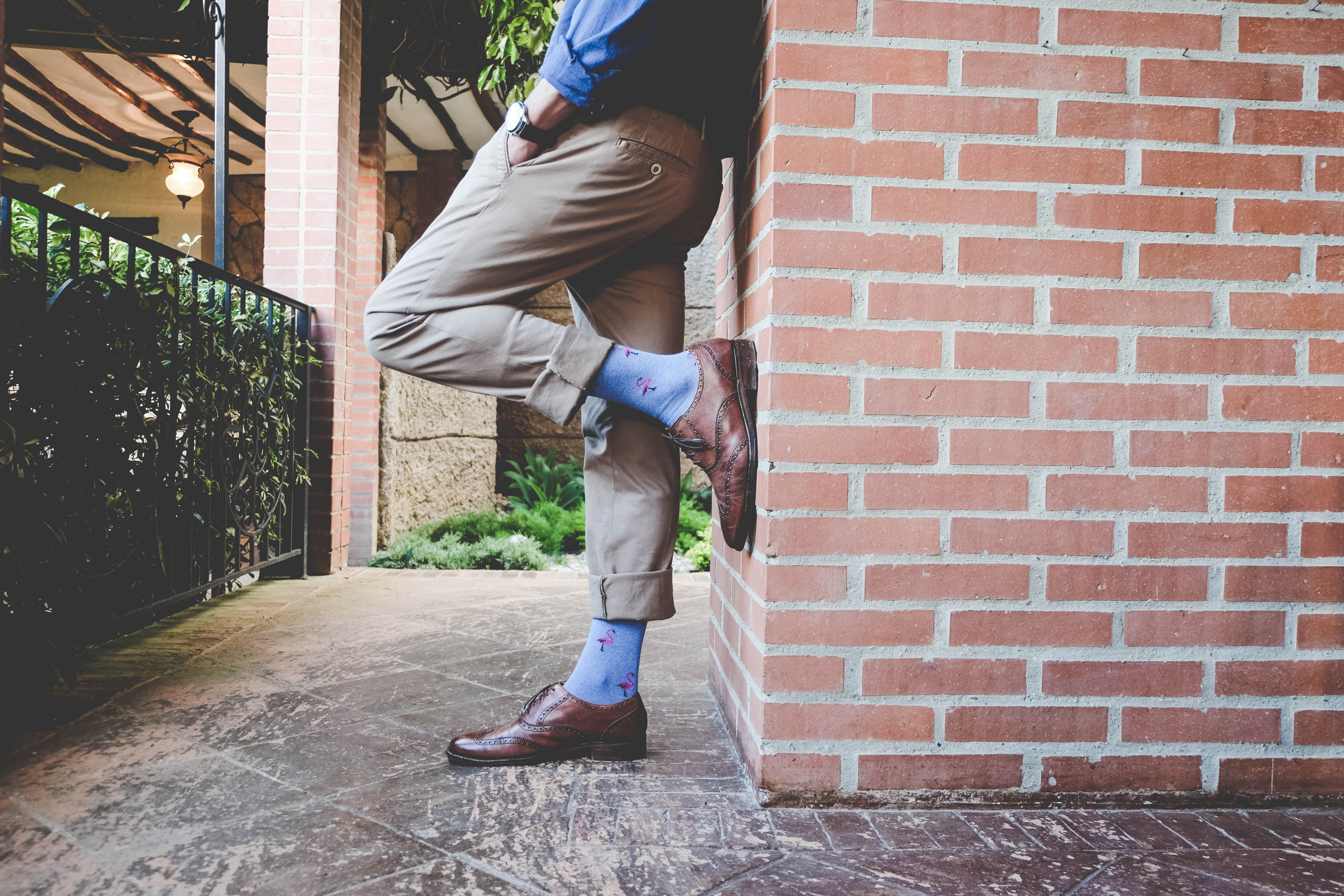 light blue over the calf dress socks with flamingo pattern, brown dress shoes, beige pants, blue shirt, on brick wall